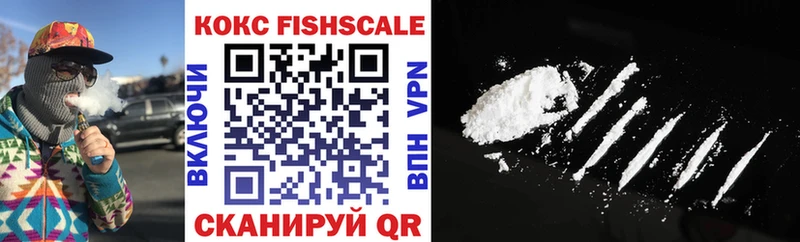 цена   Лихославль  COCAIN Fish Scale 
