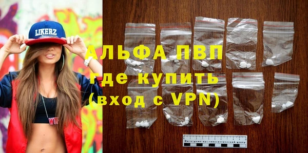 сатива Козловка