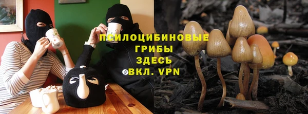 индика Алзамай