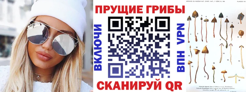 KRAKEN как войти  Лихославль  Псилоцибиновые грибы Cubensis 